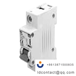 BKH 1P C125A_LS ELECTRIC_Circuit br