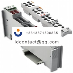 753453WAGO 753 Series Analog Input 
