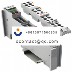 753465WAGO 753 Series Analog Input 