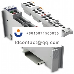 753553WAGO 753 Series Analogue Outp