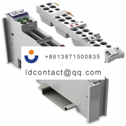 753556WAGO 753 Series Analogue Outp