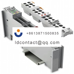 753648WAGO 753 Series Interface Mod