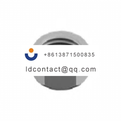 GB3250025  Vega counter nut  for ve