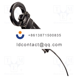 0554 5607-TESTO-Test probe  0  200 