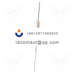 0603 1993-TESTO-Probe  T type tempe
