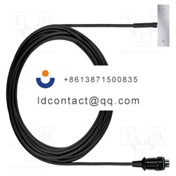 0628 7507-TESTO-Probe  NTC type tem