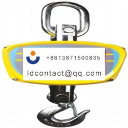 LHS 500-Adam Equipment Co Ltd hook 