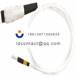FM35-AP-Digitron temperature probe 