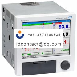 RSG35-B2D-Endress Hauser 6 input gr