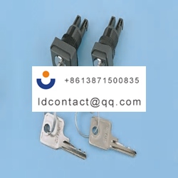 A018125 APEM Key Switch Head  2 pos