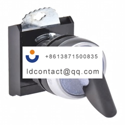 L21KV30 BACO 2 position illuminated