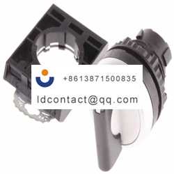 L21KA03 BACO 2 position switch head