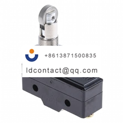 GPTCRH02 ZF Roller Micro Switch  Si