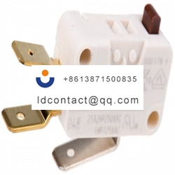 D489 V3AA ZF Button Microswitch  Si