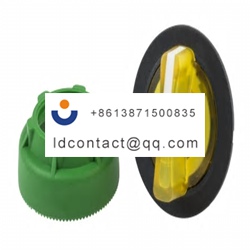 ZB5FK1483 Schneider Electric 2 gang