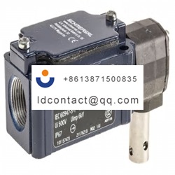 TV10S 335 02Z Schmersal hinge switc