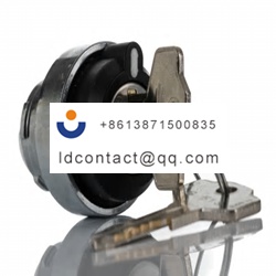 238 3928 RS PRO Key Switch Head    