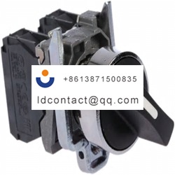 XB4BD25 Schneider Electric 2 positi
