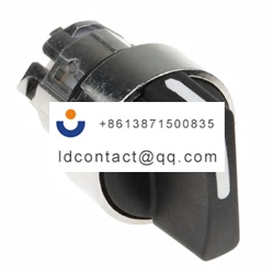 ZB4BD2 Schneider Electric 2 positio