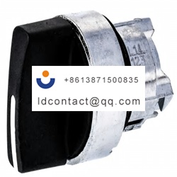 ZB4BD4 Schneider Electric 2 positio
