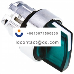 ZB4BK1233 Schneider Electric 2 posi