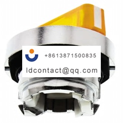 ZB4BK1253 Schneider Electric 2 posi