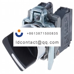 XB4BD25EX Schneider Electric 2 posi
