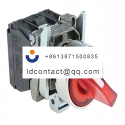 XB4BK124B5 Schneider Electric 2 pos
