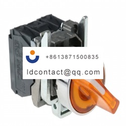 XB4BK125B5 Schneider Electric 2 pos