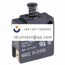 D2D 1000 Omron Plunger Interlock Sw