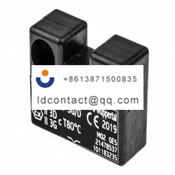 EX BPS 250 3G D Schmersal Non conta
