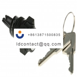 745 2439 RS PRO 2 position key swit