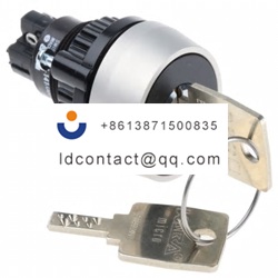 14 141 025K2 EAO 2 position key swi