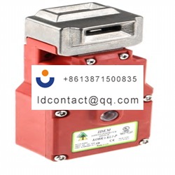 221301 IDEM Electromagnetic Safety 
