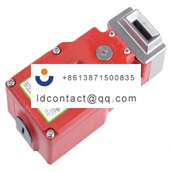 221307 IDEM Electromagnetic Safety 