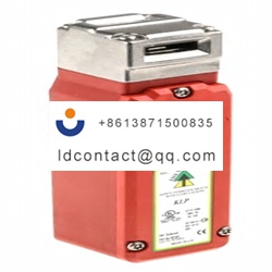 201001 IDEM Electromagnetic Safety 