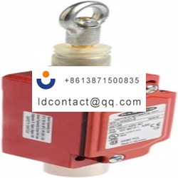 RP LM40D 6 Banner Rope Pull Switch 