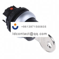 229092 M22 WRS A1 Eaton Flat Key Sw