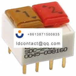 ED57673 ERG 2 position DIP switch  