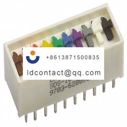 ED57165 ERG 10 position DIP switch 