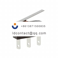 DC2C L1LC ZF Rocker Microswitch  Si