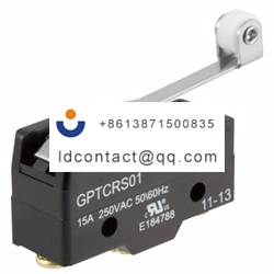 GPTCRS01 ZF long roller lever micro