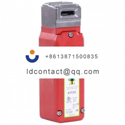 201021 IDEM Electromagnetic Safety 