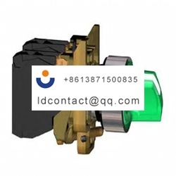 XB4BK133M5 Schneider Electric 3 pos