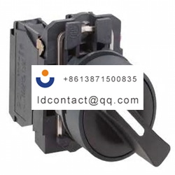 XB5AD25 Schneider Electric 2 positi