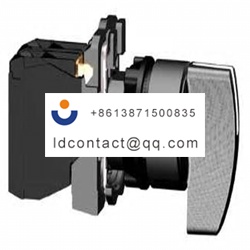 XB5AJ21 Schurter 2 position switch 