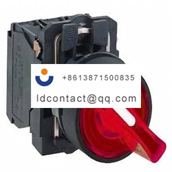 XB5AK124B5 Schneider Electric 2 pos