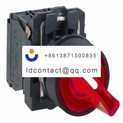 XB5AK124M5 Schneider Electric 2 pos