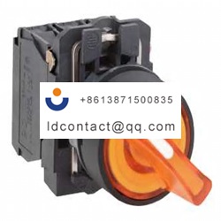 XB5AK125M5 Schneider Electric 2 pos