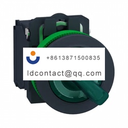XB5FK123M5 Schneider Electric 2 pos